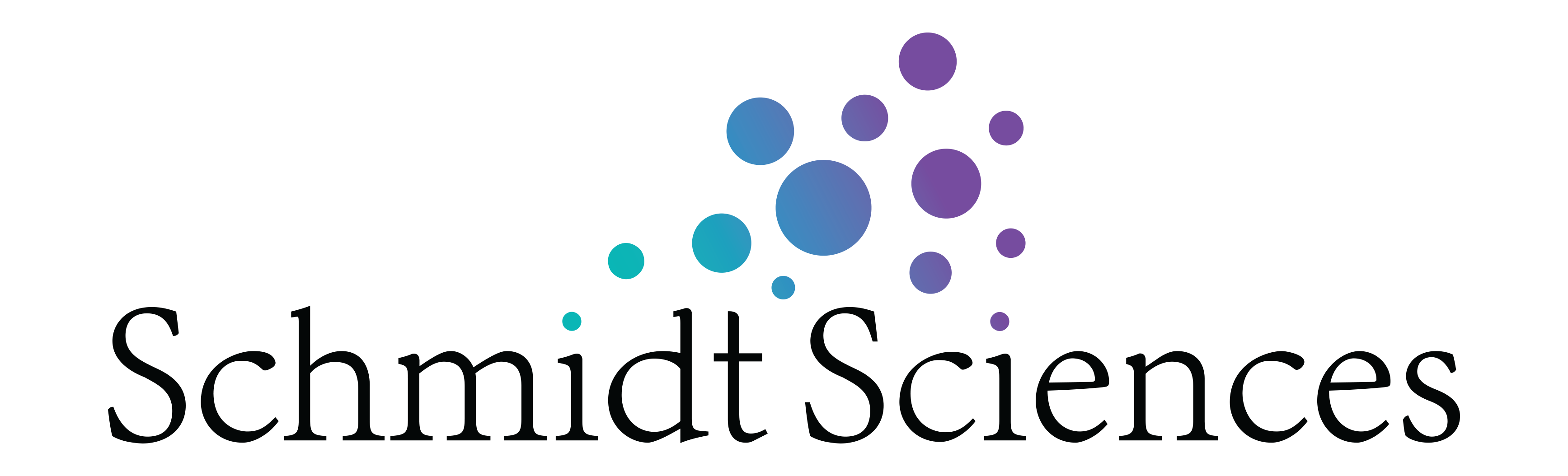 Schmidt Sciences logo